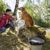 Karcher OC 3 Foldable mobil kültéri tisztító