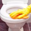 Tork Mini WC ülőke tisztító S5 525ml