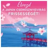 Lenor öblítő Japanese Blossom - 59 mosás 1239ml