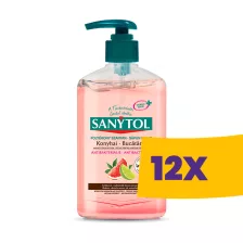   Sanytol konyhai fertőtlenítő folyékony szappan Grapefruit és Lime 250ml (Karton - 12 db)