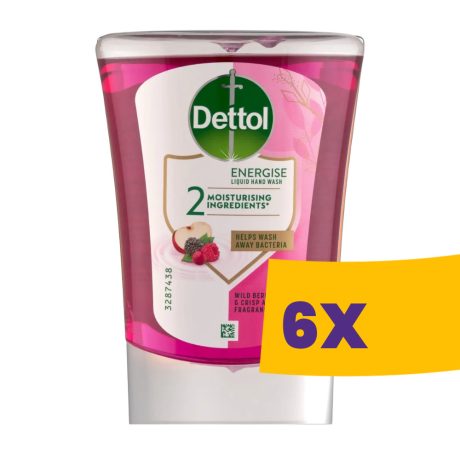 Dettol folyékony szappan Dettol adagolóhoz Wildberry 250ml (Karton - 6 db)