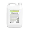 Ecover All Purpose Cleaner felmosószer koncentrátum Citrom-Gyömbér 5L (Karton - 4 kanna)