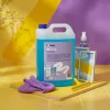 T-Depo Shine ablaktisztító 5L