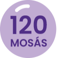 Mosás száma 100 +